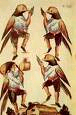 ilustración
